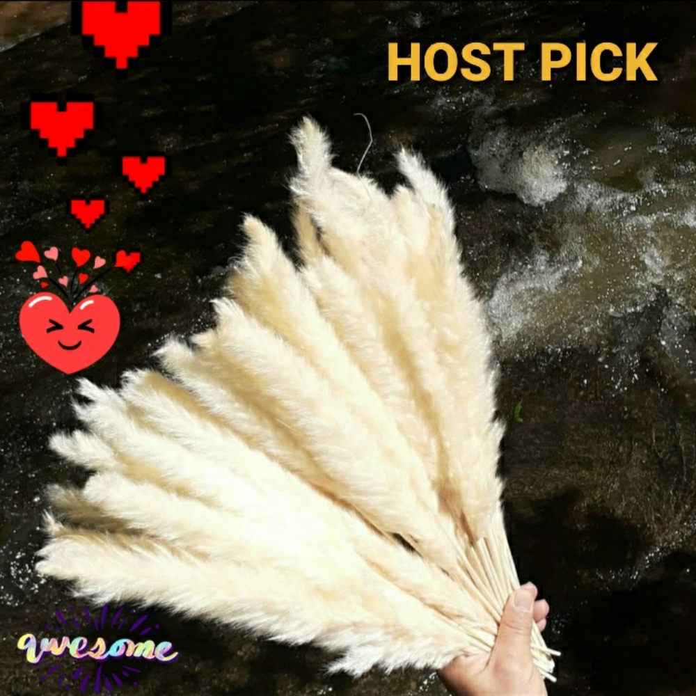 Pampas Grass Luxury Box boho Wedding Housewarming graduation Decor mom's gift! - Picture 3 of 7